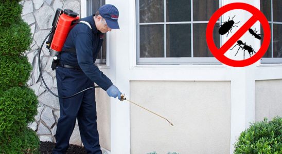 Doğankent Dezenfeksiyon böcek ilaçlama ve haşere kontrolü — ilaclama-tr.com